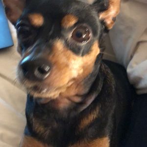 Meet your Posher, Michael